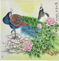 建南《锦上添花》
