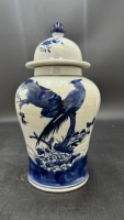 青花将军锦鸡罐